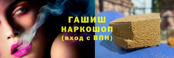прущие грибы Вязьма