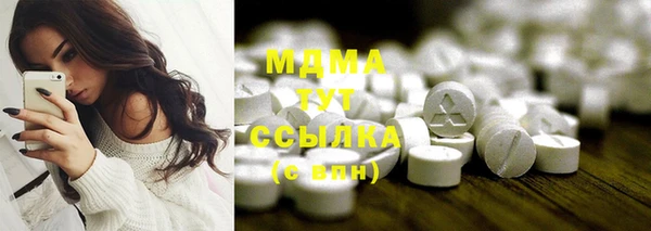 прущие грибы Вязьма