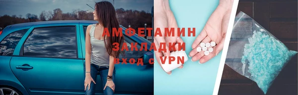прущие грибы Вязьма