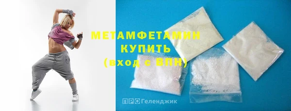 прущие грибы Вязьма