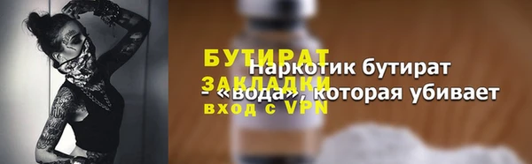 прущие грибы Вязьма